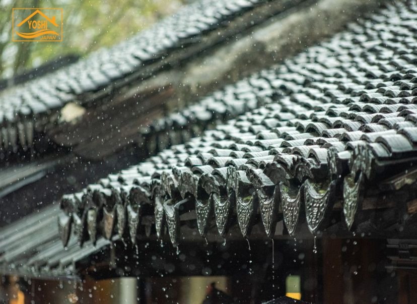 Dấu hiệu nhận biết mái ngói bị thấm dột 